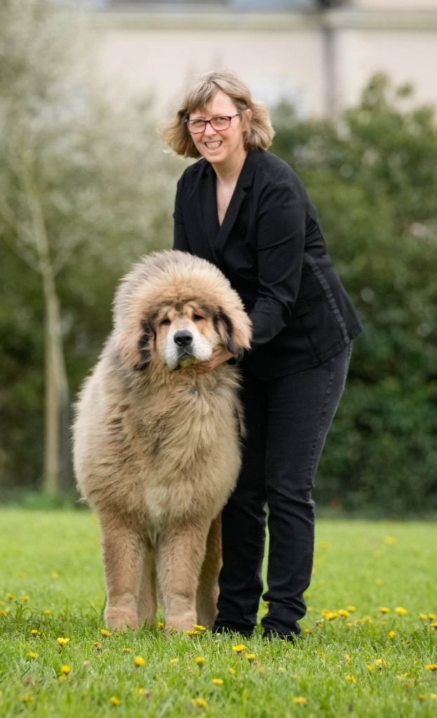 The best is tic tingpa du domaine de Toundra