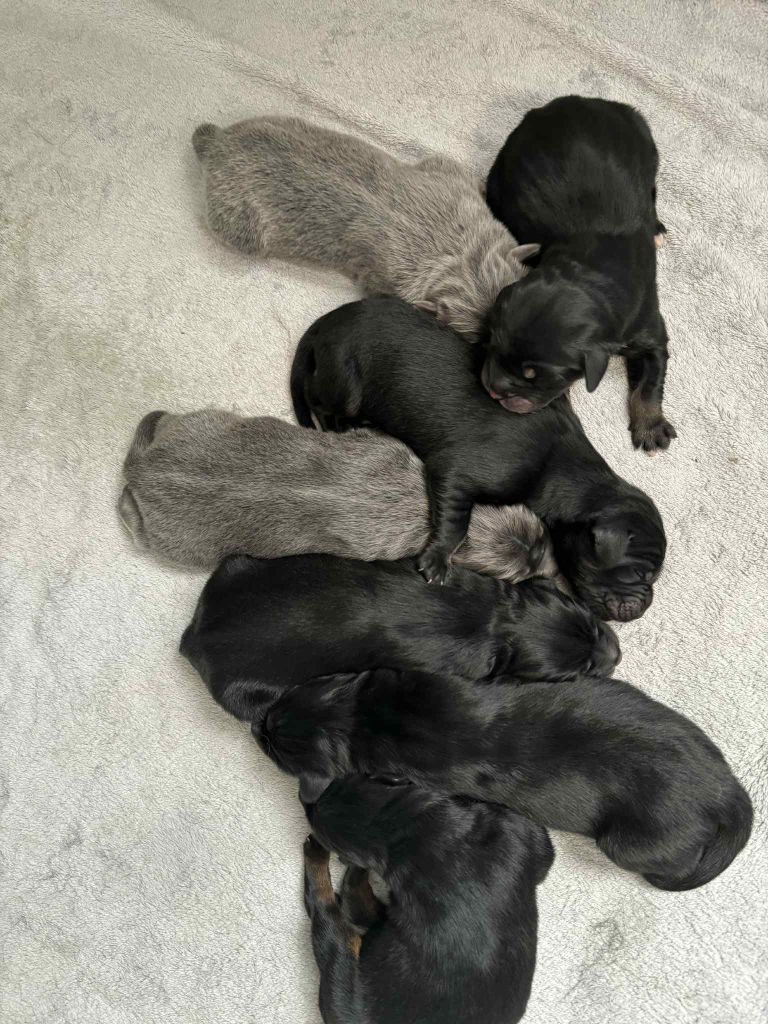 Les bébés sont nés 