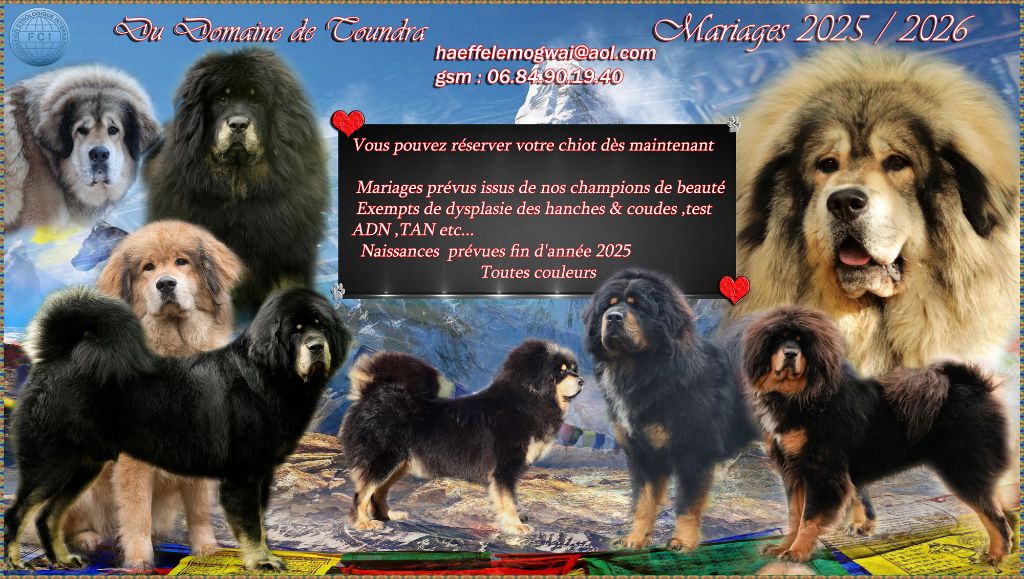 les bébés arrivent bientôt 